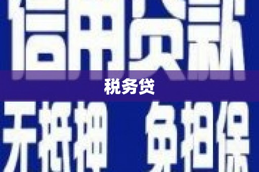 集宁税务贷
