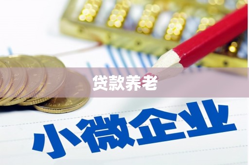 集宁贷款养老