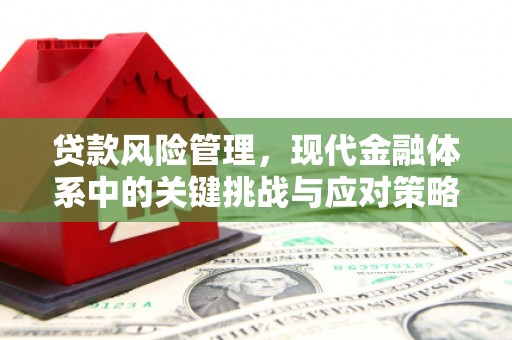 集宁贷款风险管理，现代金融体系中的关键挑战与应对策略